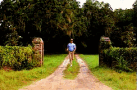 run-forest run-forest